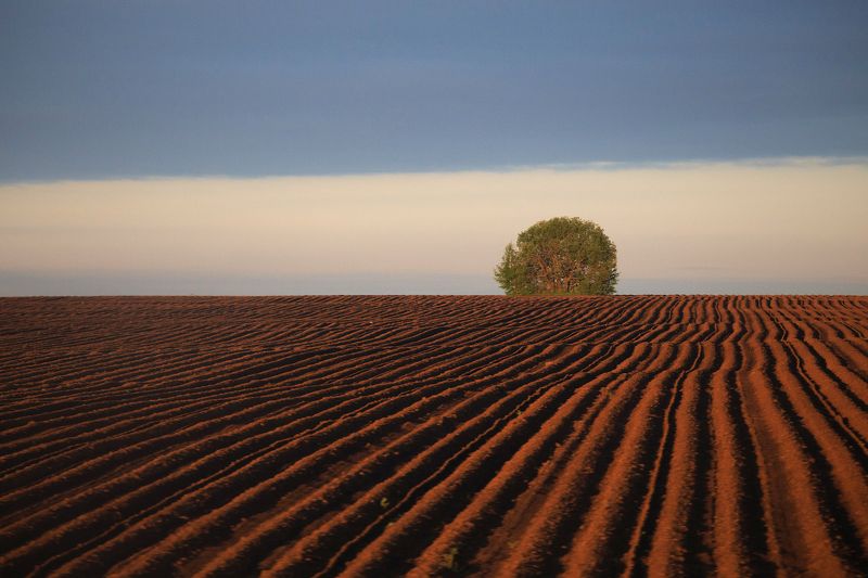- фото превью