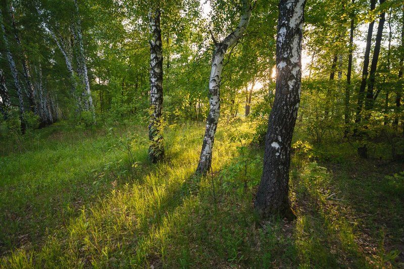 Пощуповоphoto preview