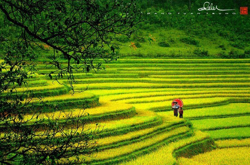 Dang Tuan Trung, Frank Dang Octoberphoto preview