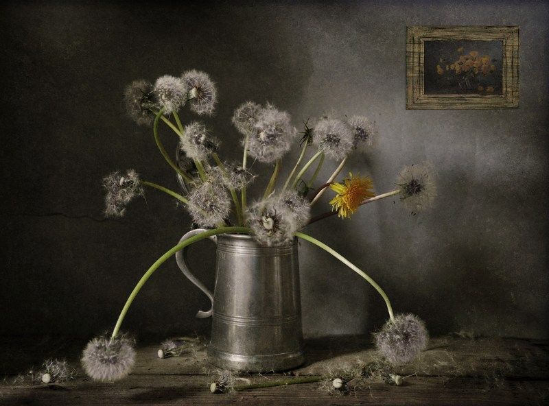 Про одуванчикиphoto preview