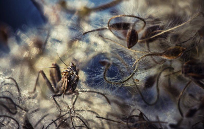 Время спать.photo preview