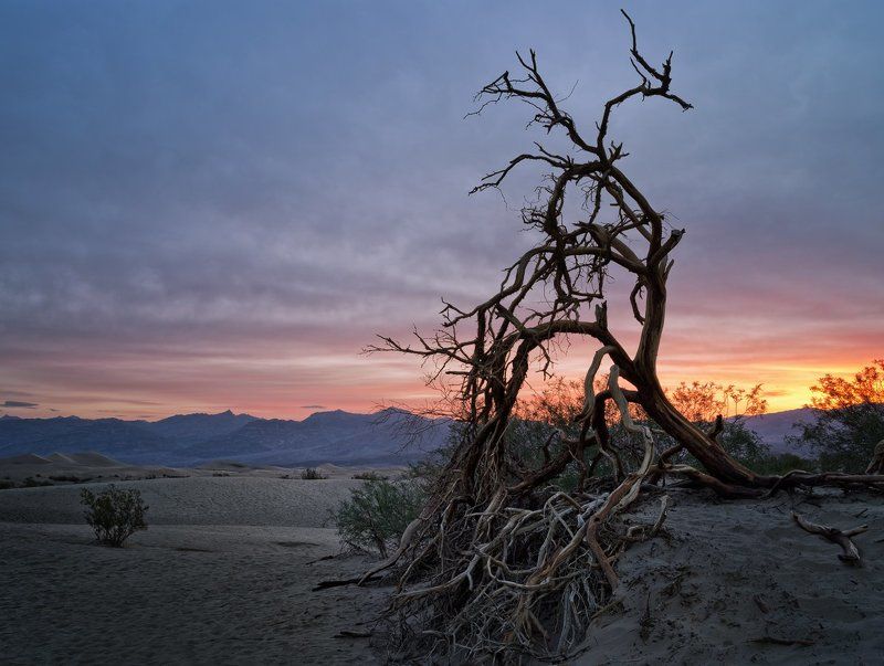 Morning in Death Valleyphoto preview