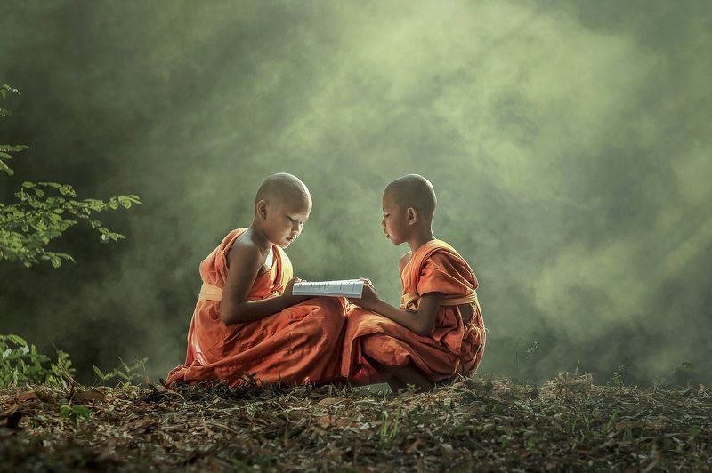 Young Buddhist monk reading.photo preview