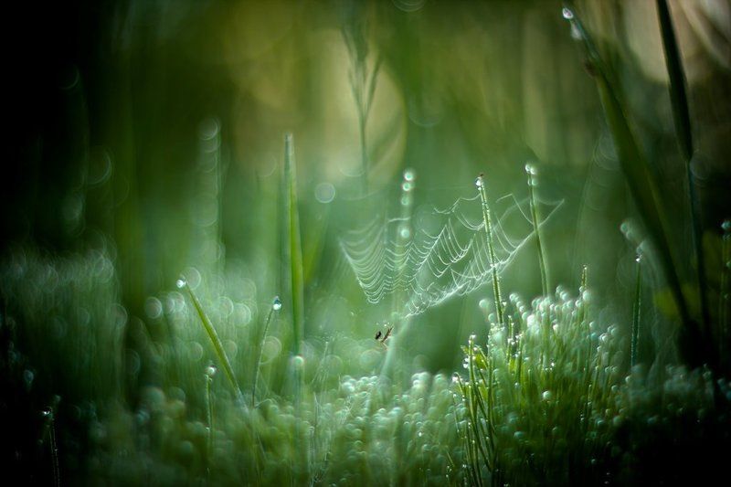 Рождение нового дня...photo preview