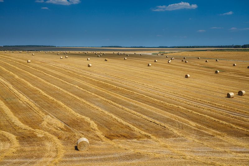 Жатва закончиласьphoto preview