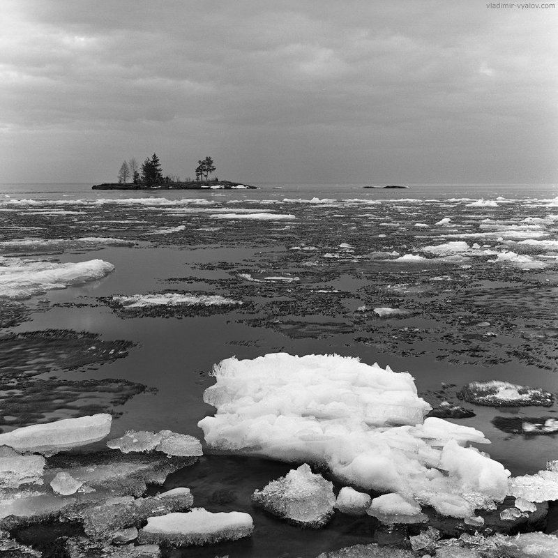 120, 6x6, acros, analog, black and white, bronica, film, fuji, ice, island, karelia, lake, medium format, russian federation, spring, square, travel, water, карелия, озеро, онега, пленка, весна, чб, лед, остров photo preview