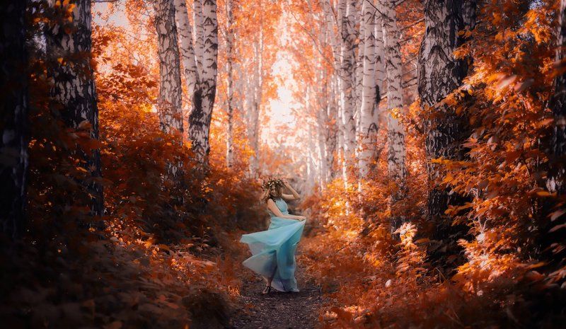 Береза, Девушка, Деревья, Закат, Красный, Лес, Мягкий свет, Оранжевый, Платье, Трава ***photo preview