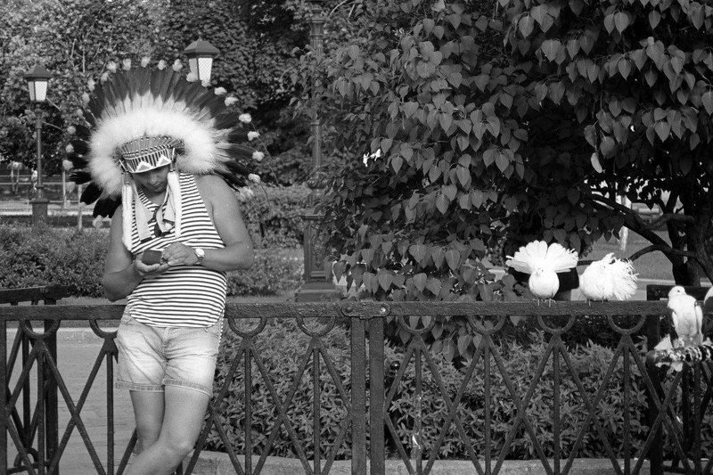 Распушилисьphoto preview