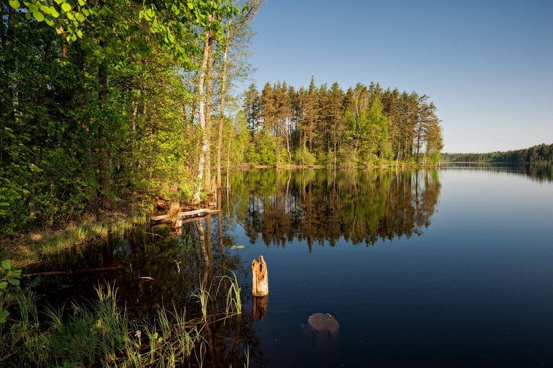Майское утро /2 фото превью