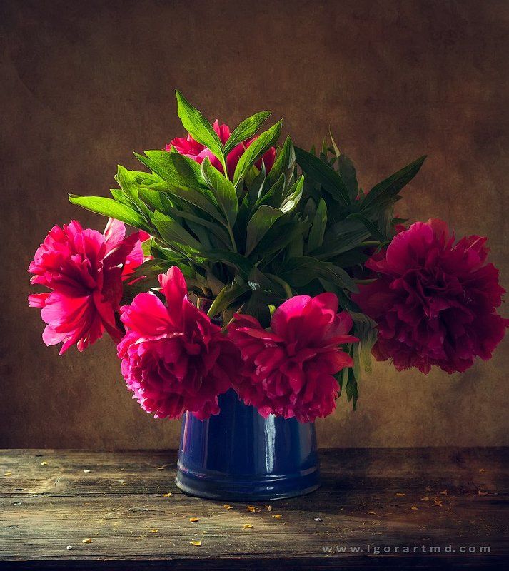 Peoniesphoto preview