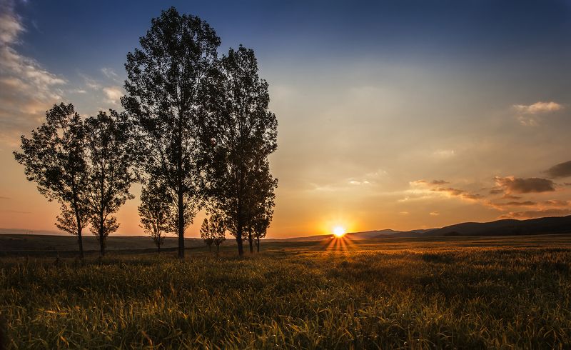 Before nightfallphoto preview