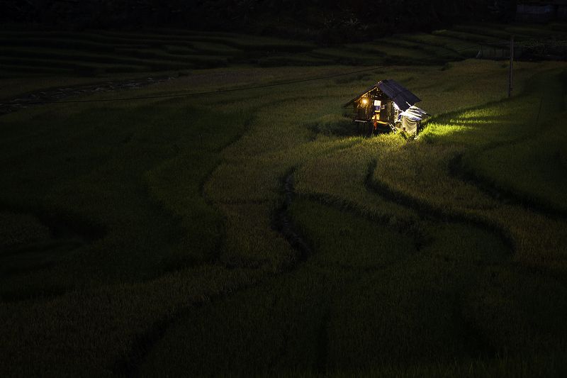 Asia, Asian, Field, Landscape, Night, Nikon, Rice, Terraces rice field, Thailand, Vietnam My homephoto preview