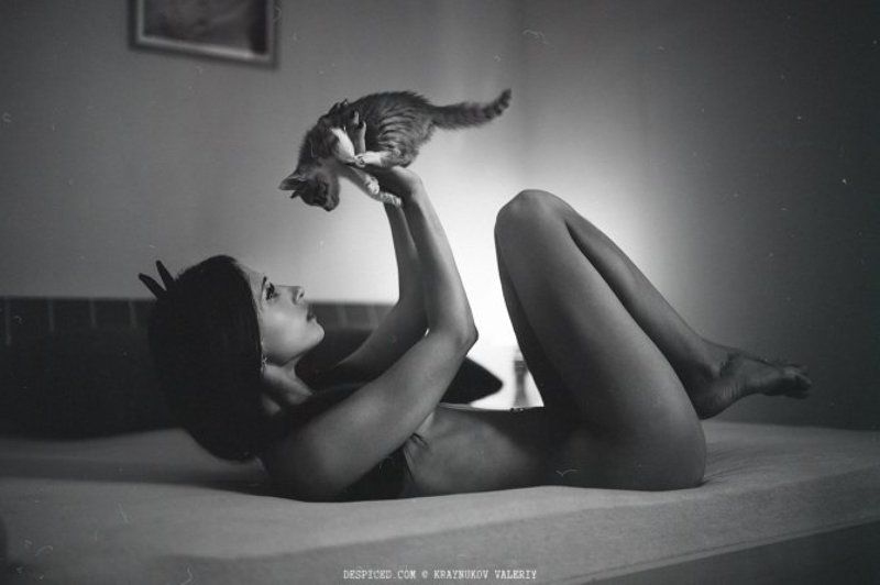 Девушка, кот Кискаphoto preview