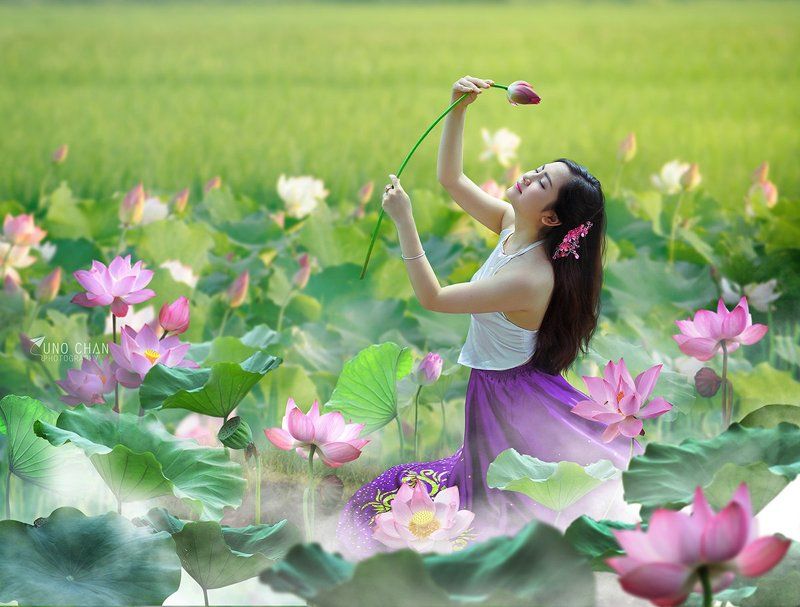 unochan Dream lotusphoto preview