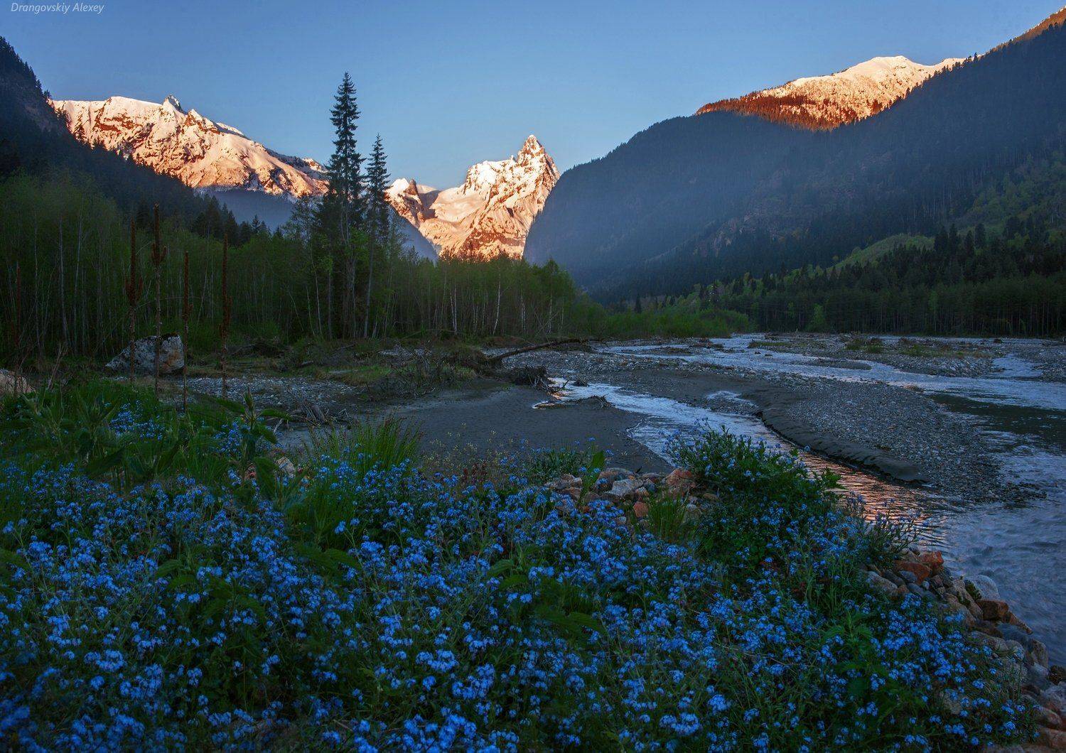 , Алексей Дранговский