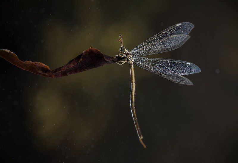 На ночевке я озяб.photo preview