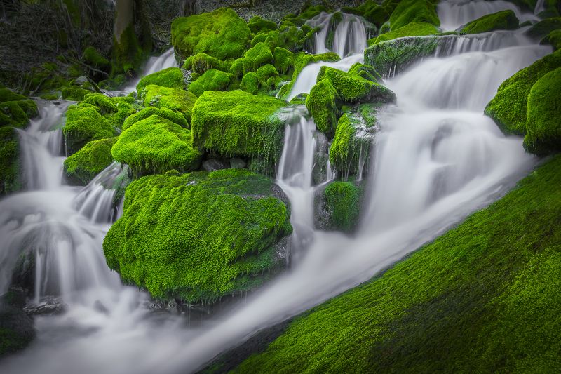 Elvish placephoto preview