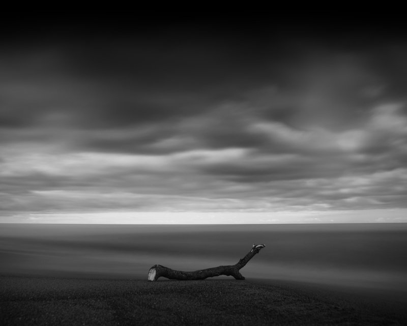 sea alonephoto preview