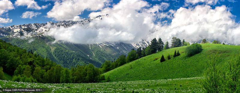панорама, пейзаж, горы, заповедник, лето, облака, zubrphoto, Абаго, Кавказ Свежесть альпийских луговphoto preview