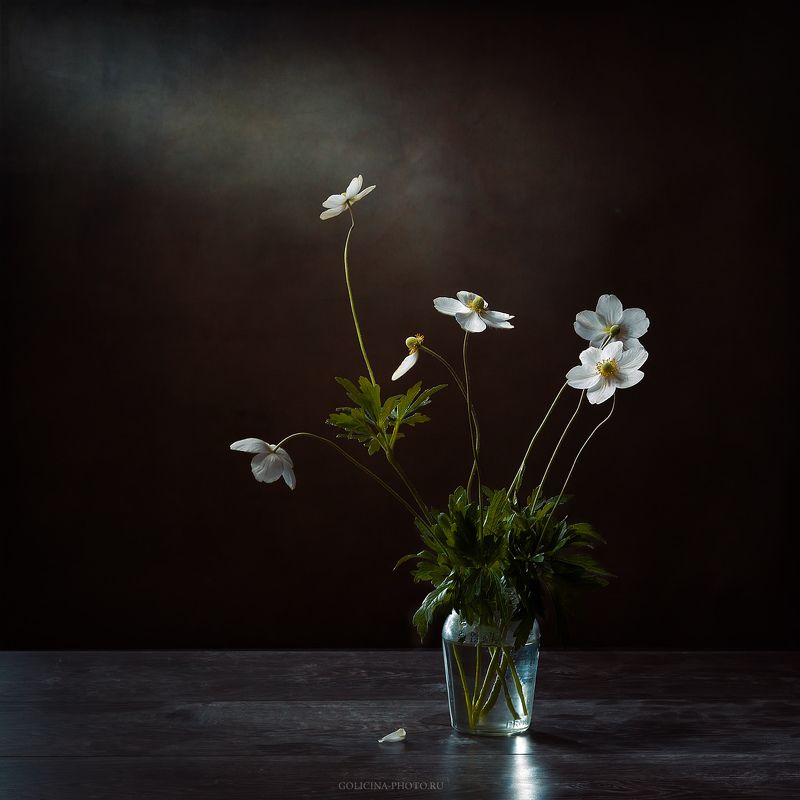 Голицына, Натюрморт, Цветы *** фото превью