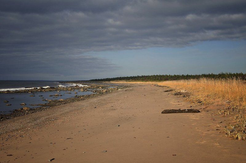 Терское побережье Белого моряphoto preview