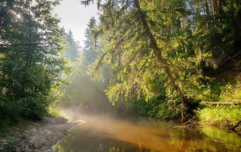 саров, сатис, пейзаж, вода, дерево, лето, лучь, отмель, песок, прозрачная, река, солнечный, тихое, туман, утро Река детства.photo preview
