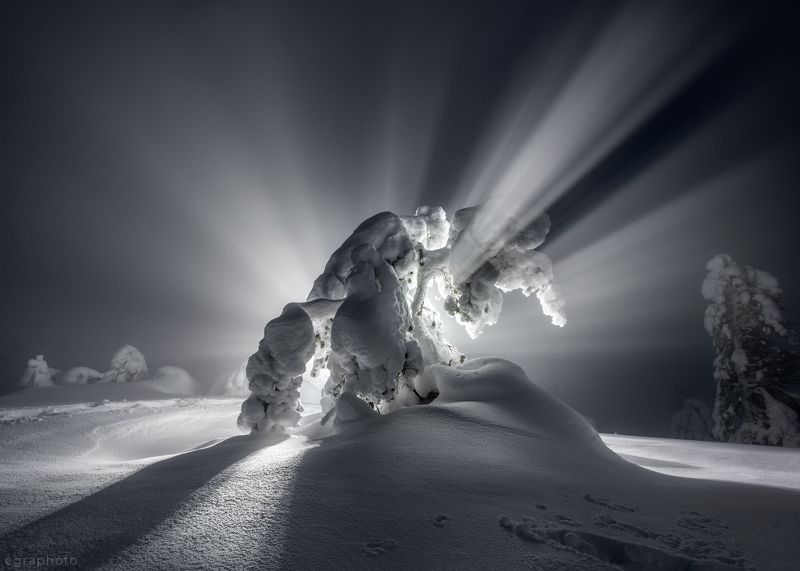 гора, сопка, волосяная, волостная, кольский полуостров, мурманская область Абориген Кольскогоphoto preview