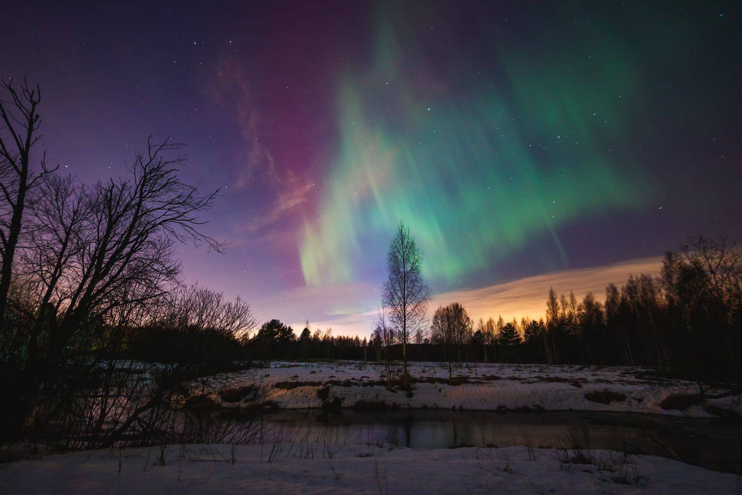 , Евгений Луцко