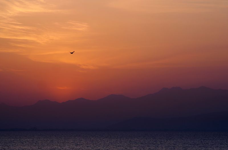 воздушная перспектива Рождение дняphoto preview