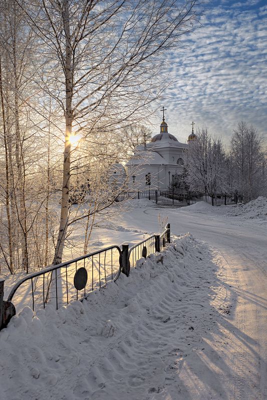 1 январяphoto preview