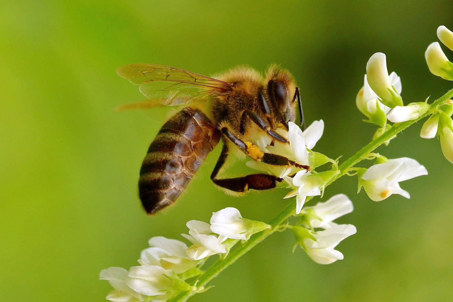 Автор: Корнейчук Игорь , Корнейчук Игорь