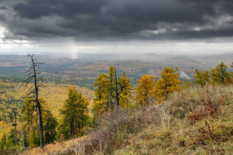 Осеньphoto preview