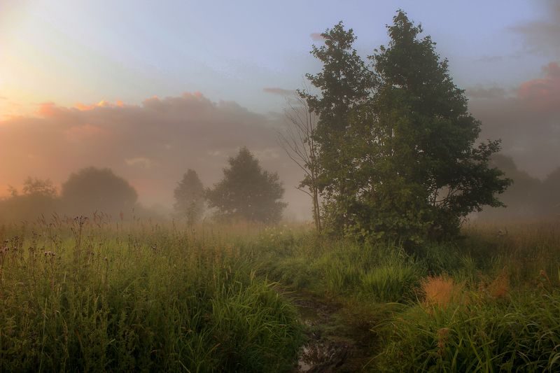 Утром,после дождя.photo preview