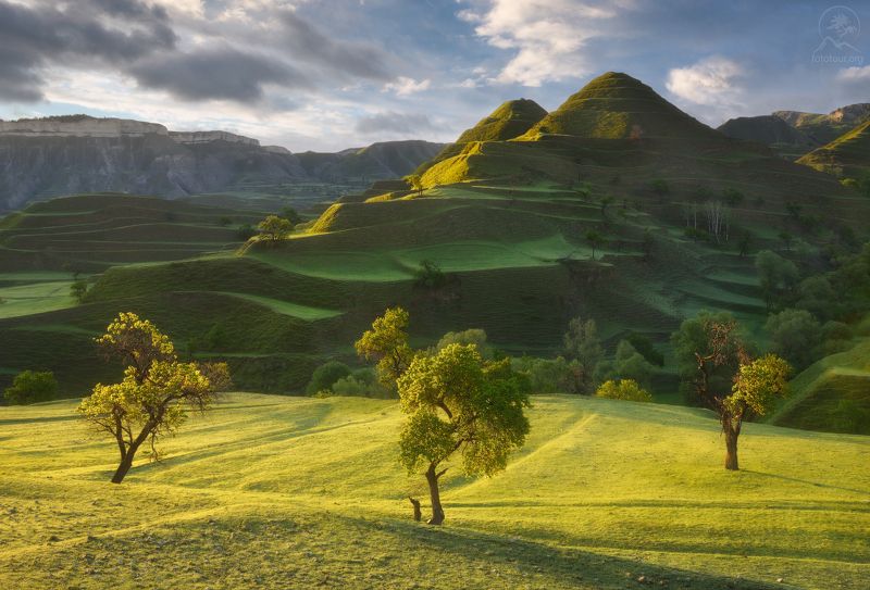 дагестан, террасы, кавказ, фототур на майские праздники, деревья, холмы, фототур в дагестан, дагестанские террасы Весенние пирамидыphoto preview