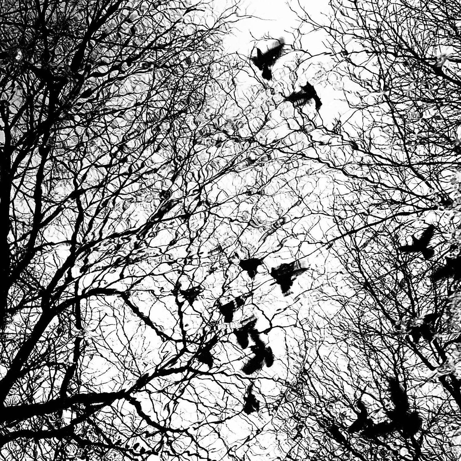 , Anastasia Kharitonova