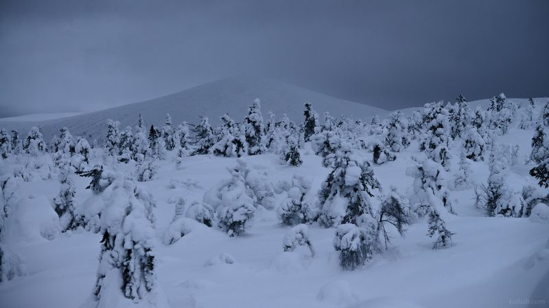 кандалакша, волосяная, зима, сопки, снег, кольский полуостров, мурманская область Заколдованныеphoto preview
