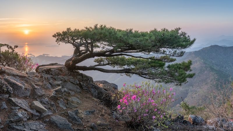 Lying on sidephoto preview