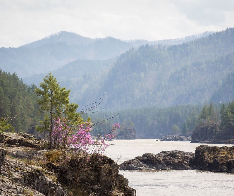 ...На краю весны...photo preview