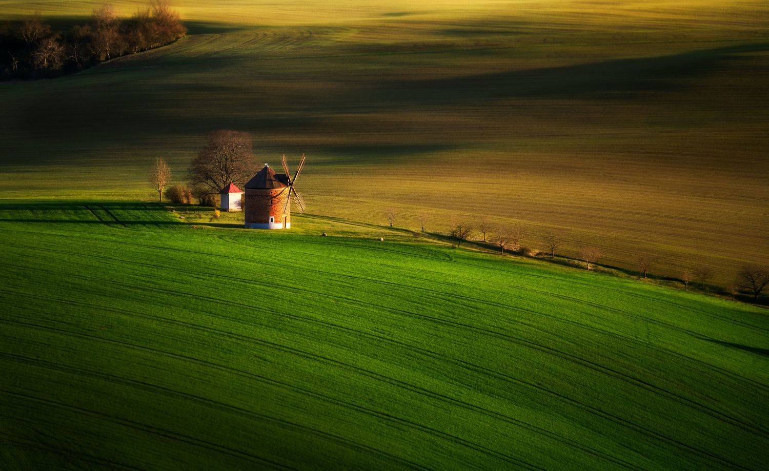 farm, field, landscape, agriculture, nature, farming, plant, rural, agricultural, green, meadow, crop, industry, land, equipment, season, summer, farmer, sky, spring, grass, tree, horizon, countryside, sun, country, beautiful, moravia, windmill, chvalkovi, Stanislav Judas
