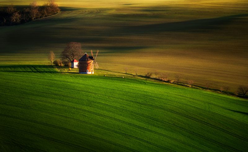 farm, field, landscape, agriculture, nature, farming, plant, rural, agricultural, green, meadow, crop, industry, land, equipment, season, summer, farmer, sky, spring, grass, tree, horizon, countryside, sun, country, beautiful, moravia, windmill, chvalkovi Historical windmill in the beautiful surroundings of South Moravia. фото превью