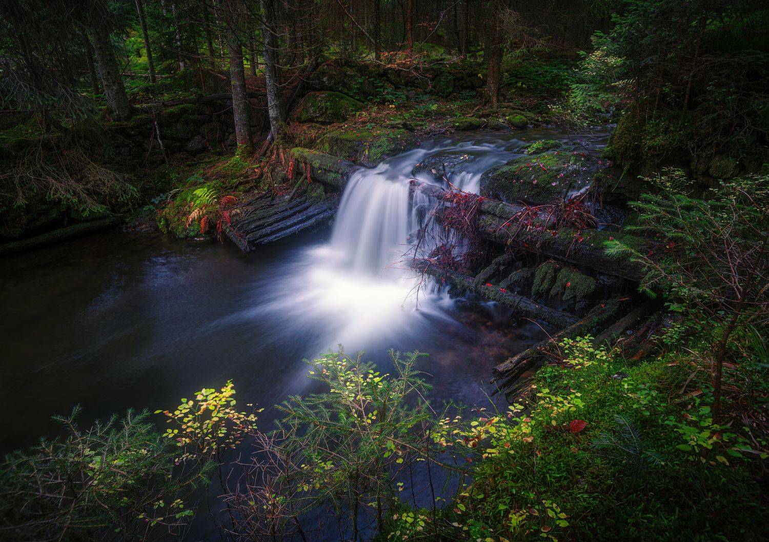 Ручьи старого леса. Автор: Ожерельев Андрей горизонтальный, нет людей, на улице, фотография, водопад, лес, природа, вода, живопись - природа, ручей - проточная вода, дерево, река, скала - объект, красота в природе, движение,, Ожерельев Андрей