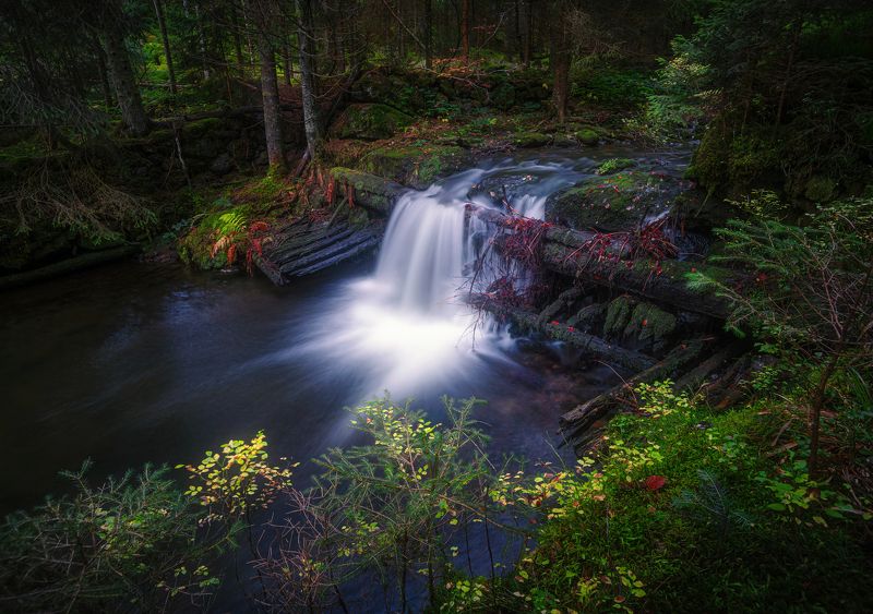 горизонтальный,  нет людей,  на улице,  фотография,  водопад, лес,  природа,  вода,  живопись - природа,  ручей - проточная вода,  дерево,  река,  скала - объект,  красота в природе,  движение, Ручьи старого лесаphoto preview