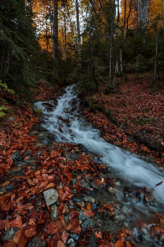Shallow creekphoto preview