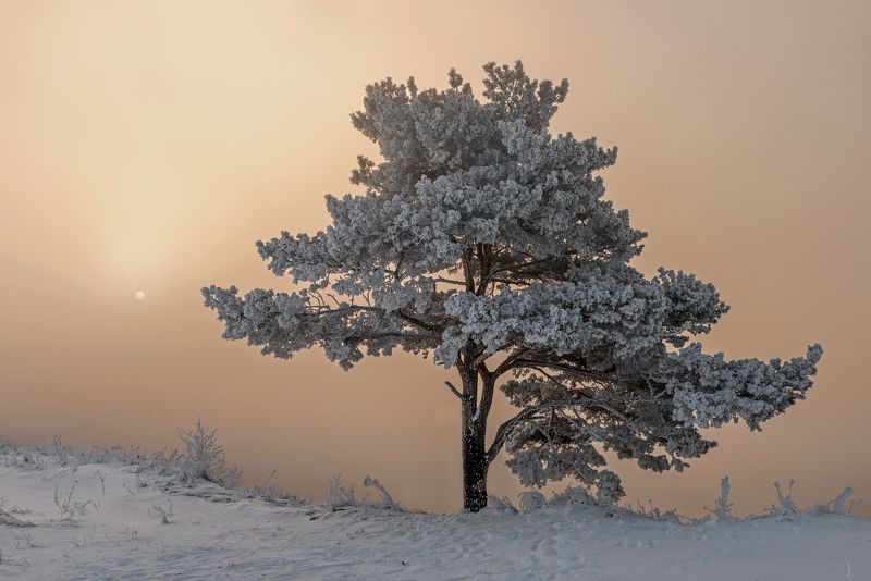 Утроphoto preview