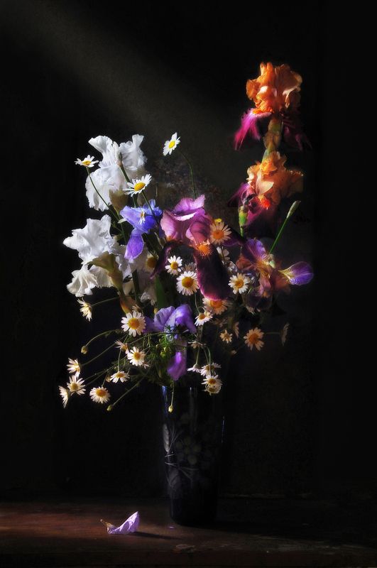 Светлый лучphoto preview