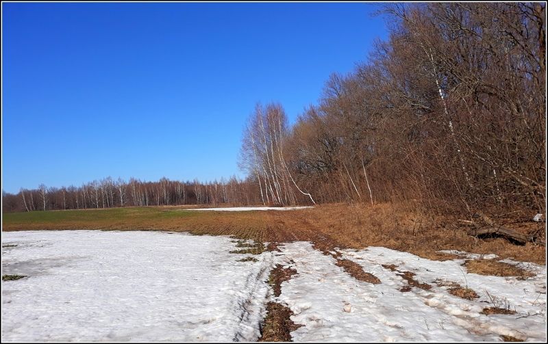 Кусочек зимыphoto preview