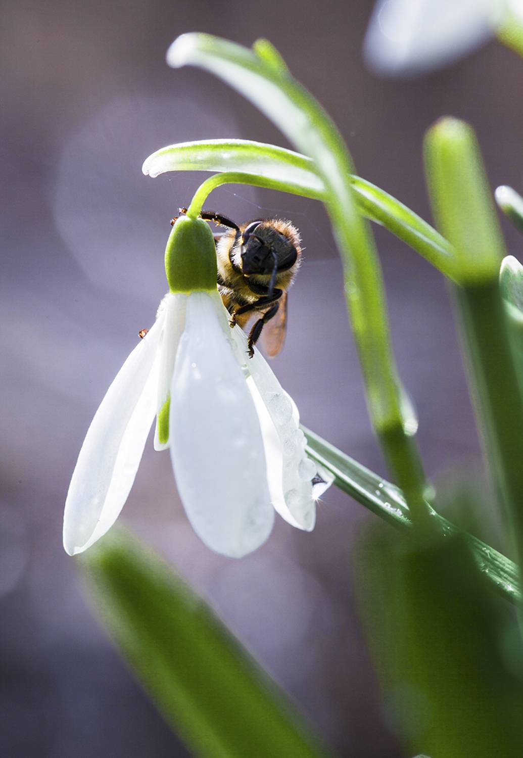 , Евгений Цветков