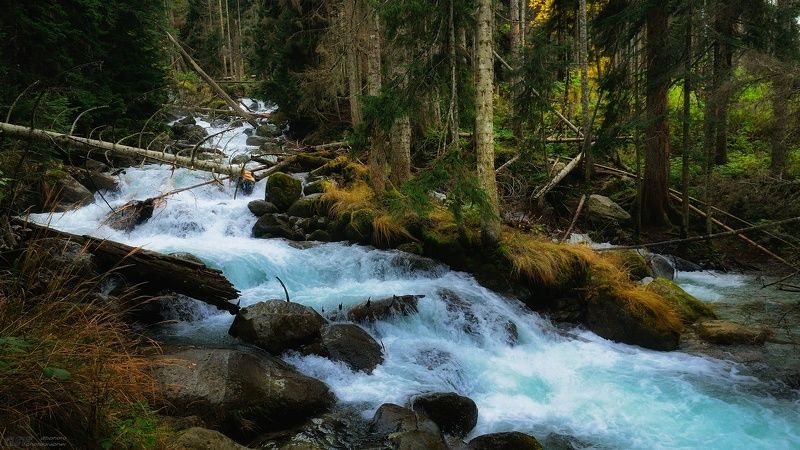 осень горы лес река камни природа пейзаж Еще раз про Улу-Муруджу фото превью