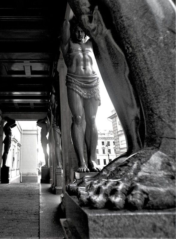 ............... фото превью