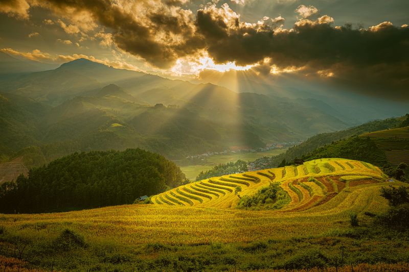 The Very First Sun Ray over Golden Terraced Fieldphoto preview